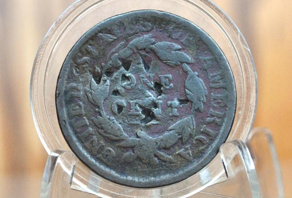 1817 Large Cent 13 Stars - Good, Damaged - US Large Cent - 1817 Coronet Liberty Head Large Cent - Thirteen Stars - 1817 Matron Cent - Image 8