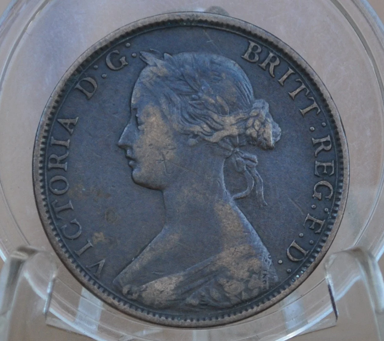 1861-1864 New Brunswick Cents - Choose by Date & Grade - New Brunswick 1 Penny Large Cent 1864 Cent - Only 4 Years of Issue - Image 7