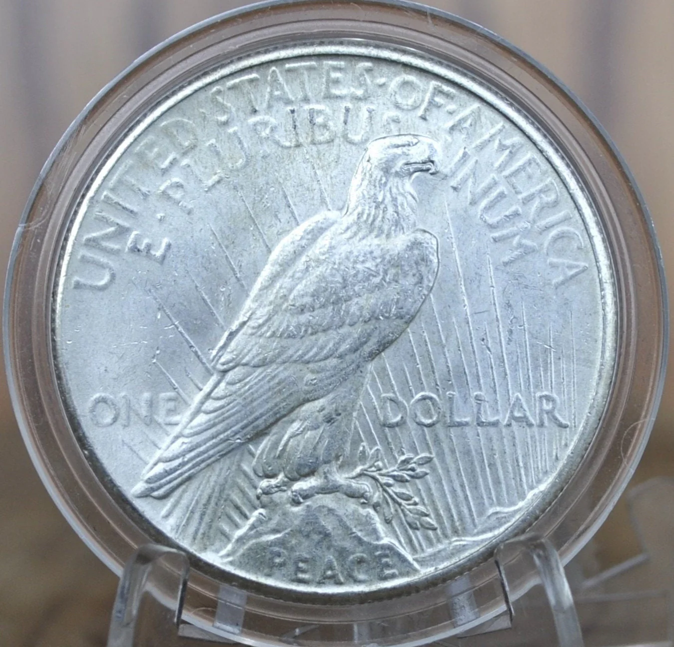 1926 Peace Silver Dollar - Choose By Grade - Philadelphia Mint - 1926 P Silver Dollar  1926 P Peace Dollar, Better Date - Image 6