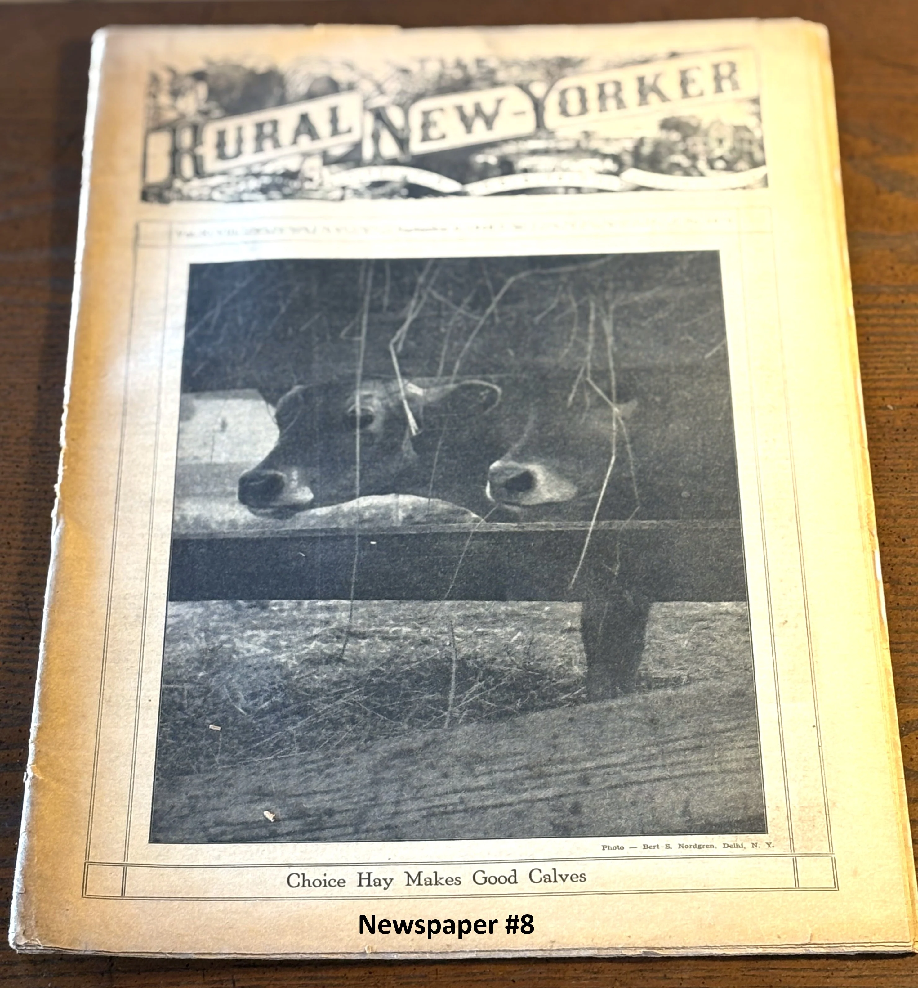 Rural New Yorker 1940s Issue Pick Your Newspaper! - 1948-1949 Rural New Yorker Issue Variety to Choose From - Image 10