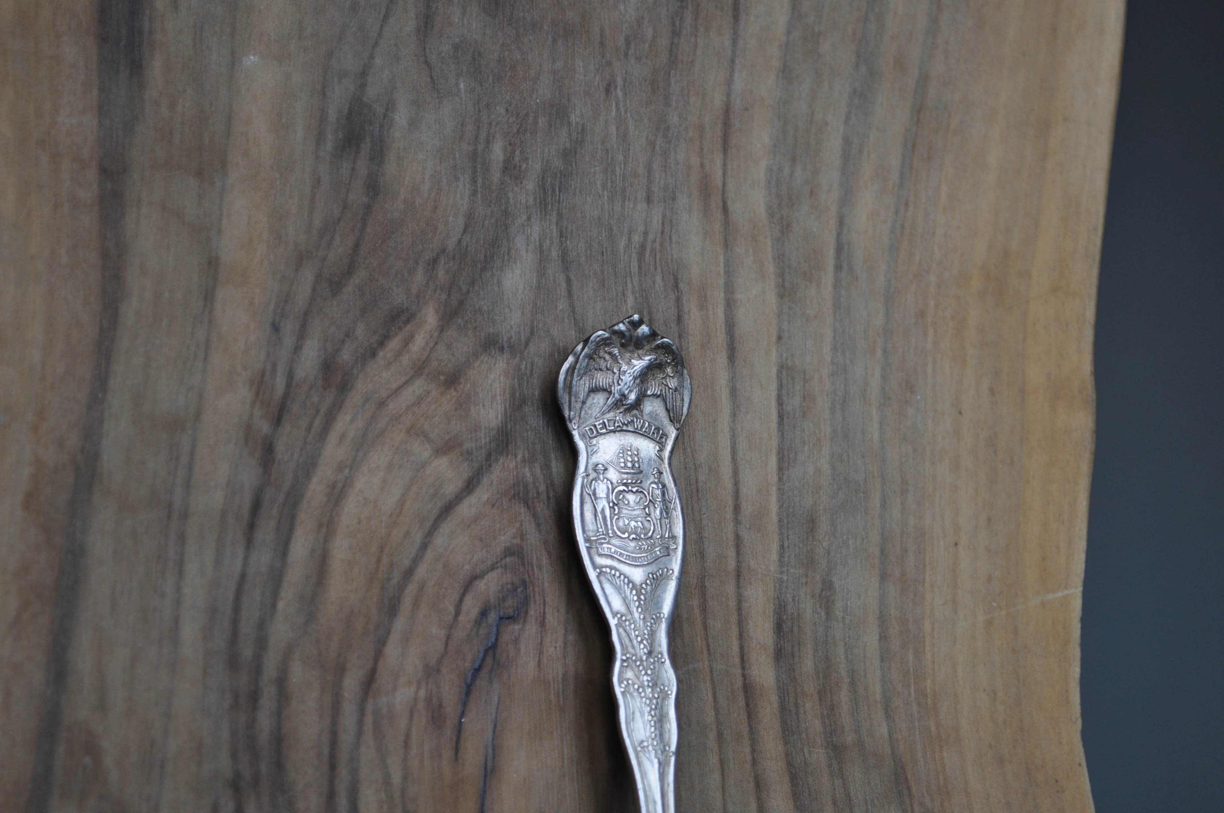 State Spoons! Large Lot of Antique Silverplated State Spoons - WM Rogers & Sons Spoons - Eagle Atop Spoon - Image 6