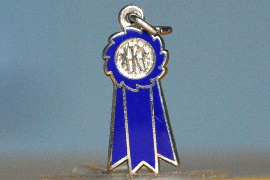 Silver American Kennel Club Charm - Stamped and Tested Sterling Silver - Dog Jewelry - Image 3