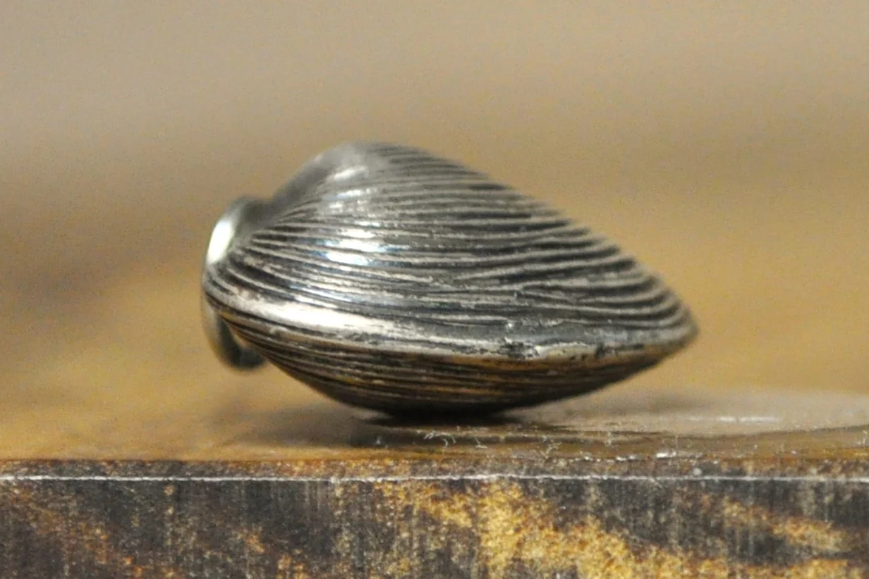 Silver Clamshell Pendant - Stamped and Tested Sterling Silver - Beau Sterling Charm - Ocean Jewelry - Image 3